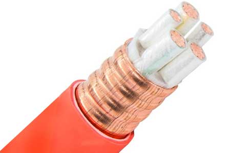 <a href='http://m.5xiaobai.cn/kuangwuzhidianlan/' target='_blank'><u>矿物质电缆</u></a>