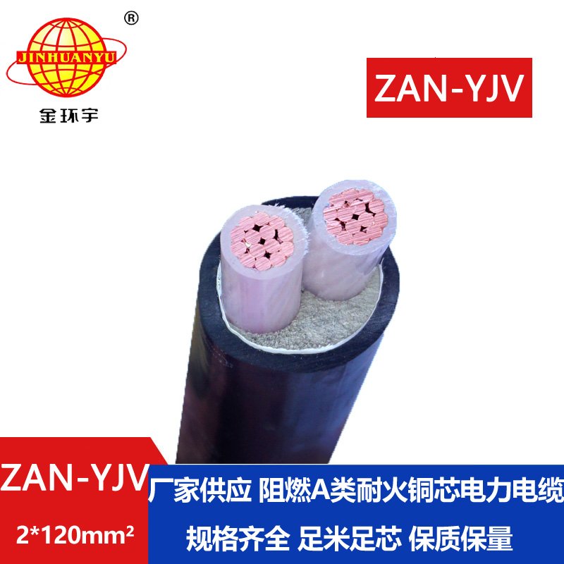金环宇电线电缆 深圳电力电缆ZAN-YJV 2X120 阻燃耐火yjv电缆价格