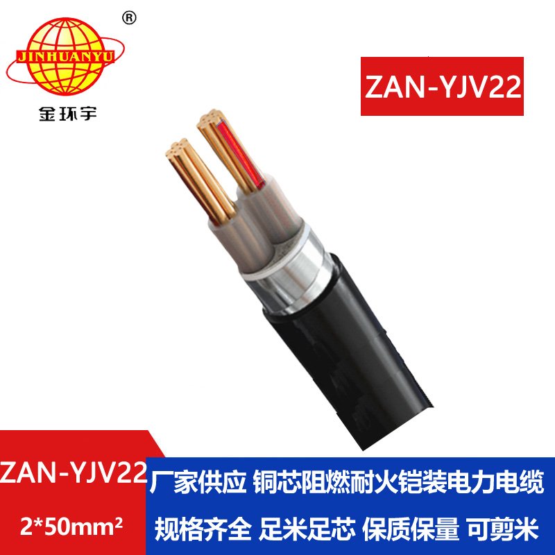 金环宇电线电缆 深圳yjv22铠装电缆ZAN-YJV22-2x50铜芯阻燃耐火交联电缆