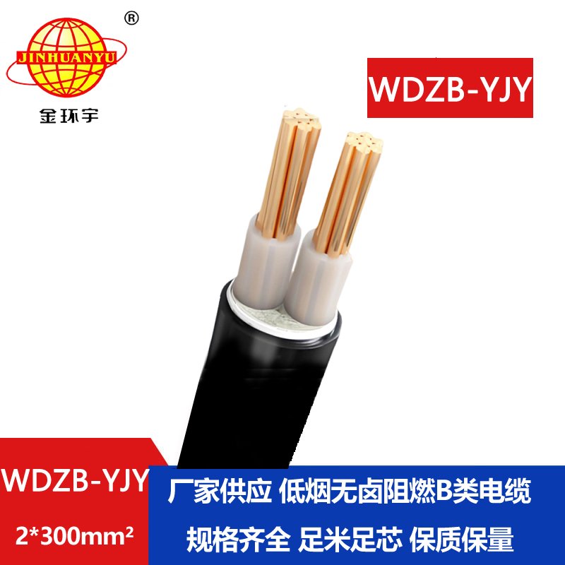 金环宇电线电缆 yjv电缆WDZB-YJY 2X300平方深圳低烟