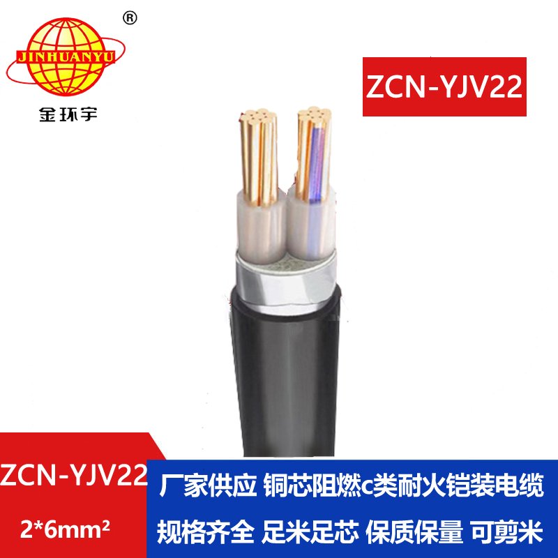 金环宇电线电缆 阻燃耐火电缆ZCN-YJV22-2X6平方yjv22钢带铠装电缆 