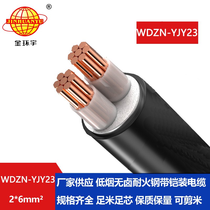 金环宇电线电缆 低烟无卤电缆WDZN-YJY23-2X6平方 耐火电缆铠装