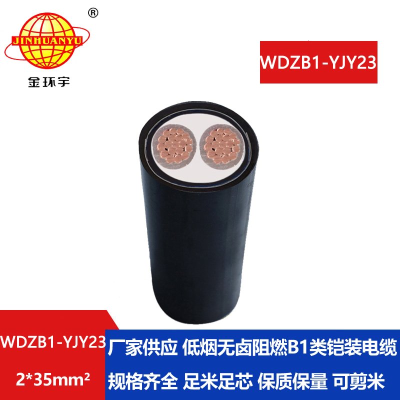 金环宇 交联低烟无卤电缆 阻燃电力电缆 WDZB1-YJY23-2X35平方