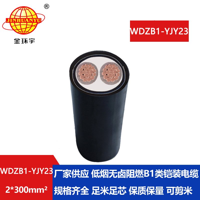 金环宇 WDZB1-YJY23-2X300平方 低烟无卤b1类阻燃铠装电力电缆